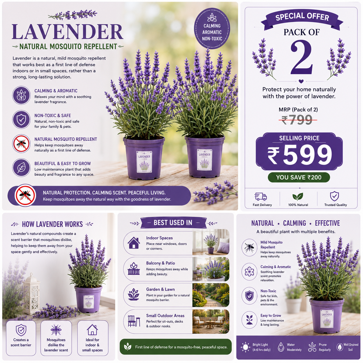 Safe Home: 100% Natural Mosquito Repellent Seeds (Pack of 2) – Citronella, Lemongrass & Marigold