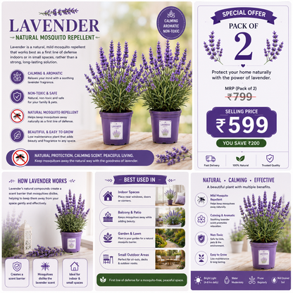 Safe Home: 100% Natural Mosquito Repellent Seeds (Pack of 2) – Citronella, Lemongrass & Marigold