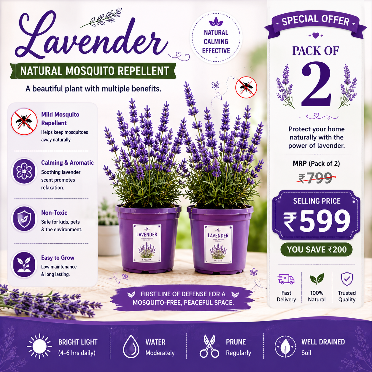 Safe Home: 100% Natural Mosquito Repellent Seeds (Pack of 2) – Citronella, Lemongrass & Marigold
