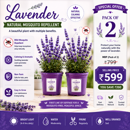 Safe Home: 100% Natural Mosquito Repellent Seeds (Pack of 2) – Citronella, Lemongrass & Marigold